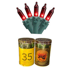 Martha Stewart Red Valentines Day Holiday Lights Home Decor 2x 12.6'